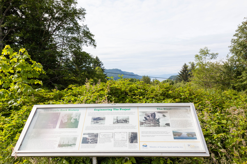 Illustration for article titled Pics from the 2017 North Island Roadtrip: 2017-06-17 at Gold River
